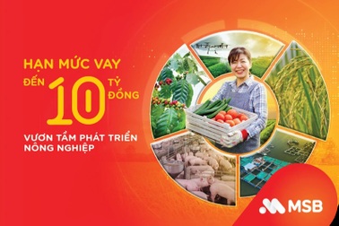 MSB cho vay phát triển nông nghiệp với hạn mức tới 10 tỷ đồng