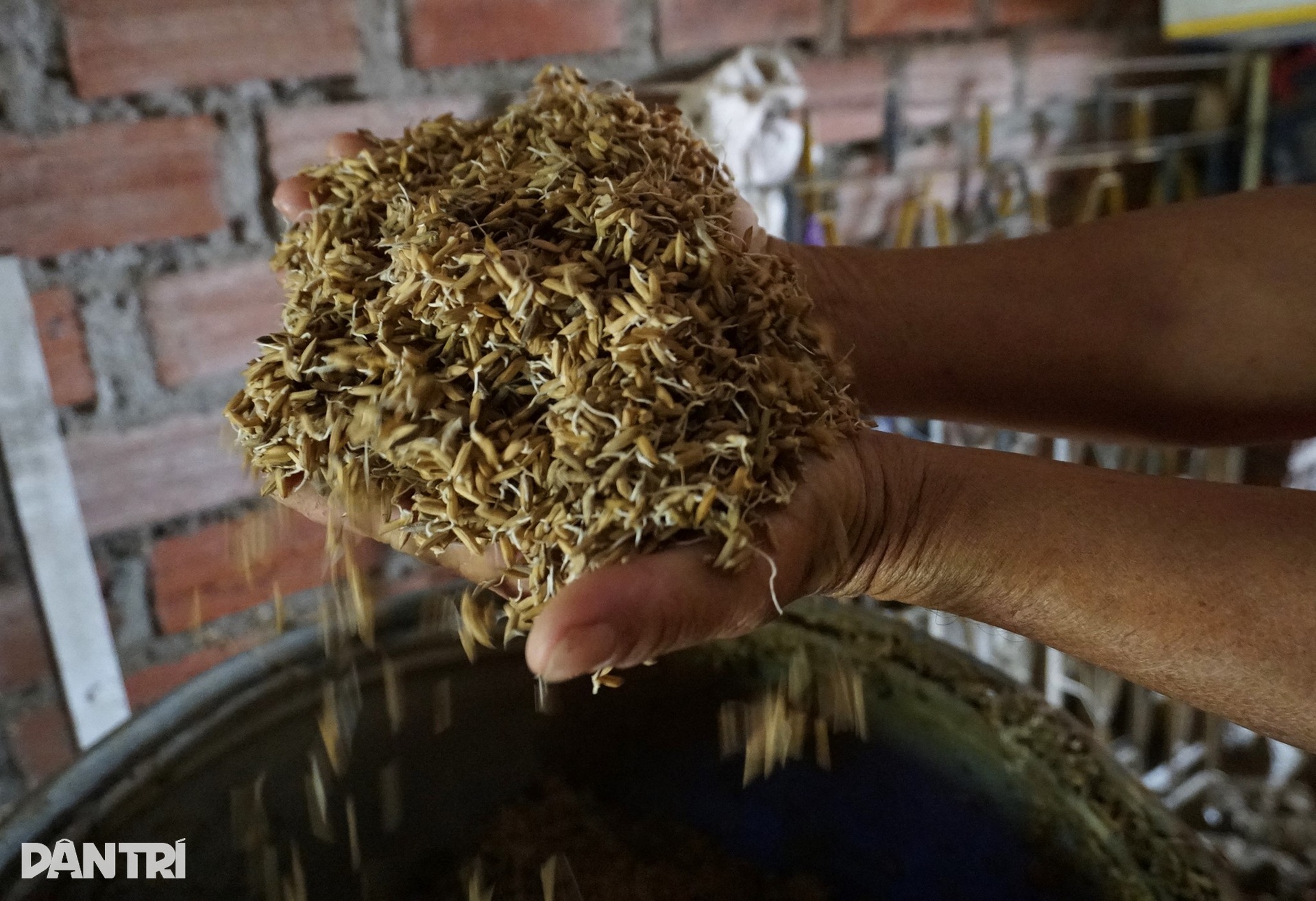 Người phụ nữ nghèo bật khóc vì 6 con bò bị lũ dữ cuốn trôi - 4