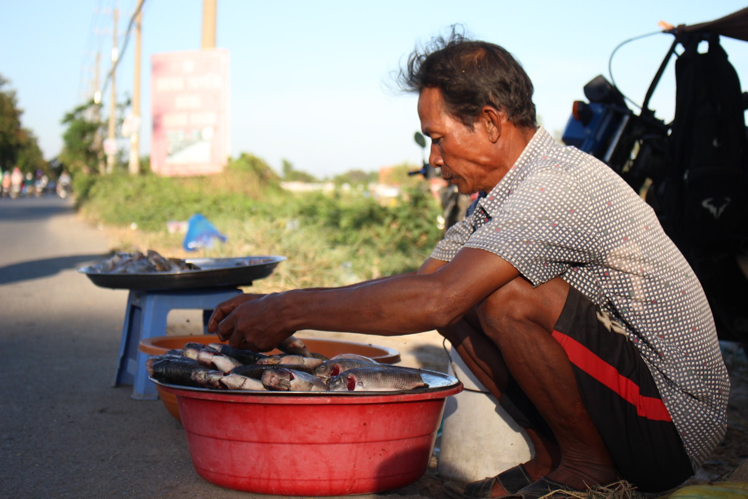 Trái đắng cho người nghèo miền Tây lên Sài Gòn… thuê đất làm ruộng - 4 Trái đắng cho người nghèo miền Tây lên Sài Gòn… thuê đất làm ruộng - 4