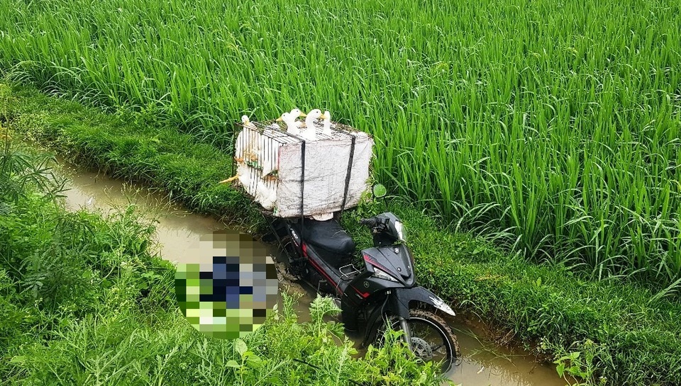 Phát hiện thi thể người đàn ông buôn vịt dưới kênh nước - 1 Phát hiện thi thể người đàn ông buôn vịt dưới kênh nước - 1