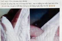 Xác minh xử lý thông tin không đúng về dịch tả lợn Châu Phi ở Cà Mau