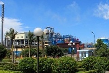 Phân bón phức hợp DAP Đình Vũ - Giải pháp tốt trong canh tác cây trồng