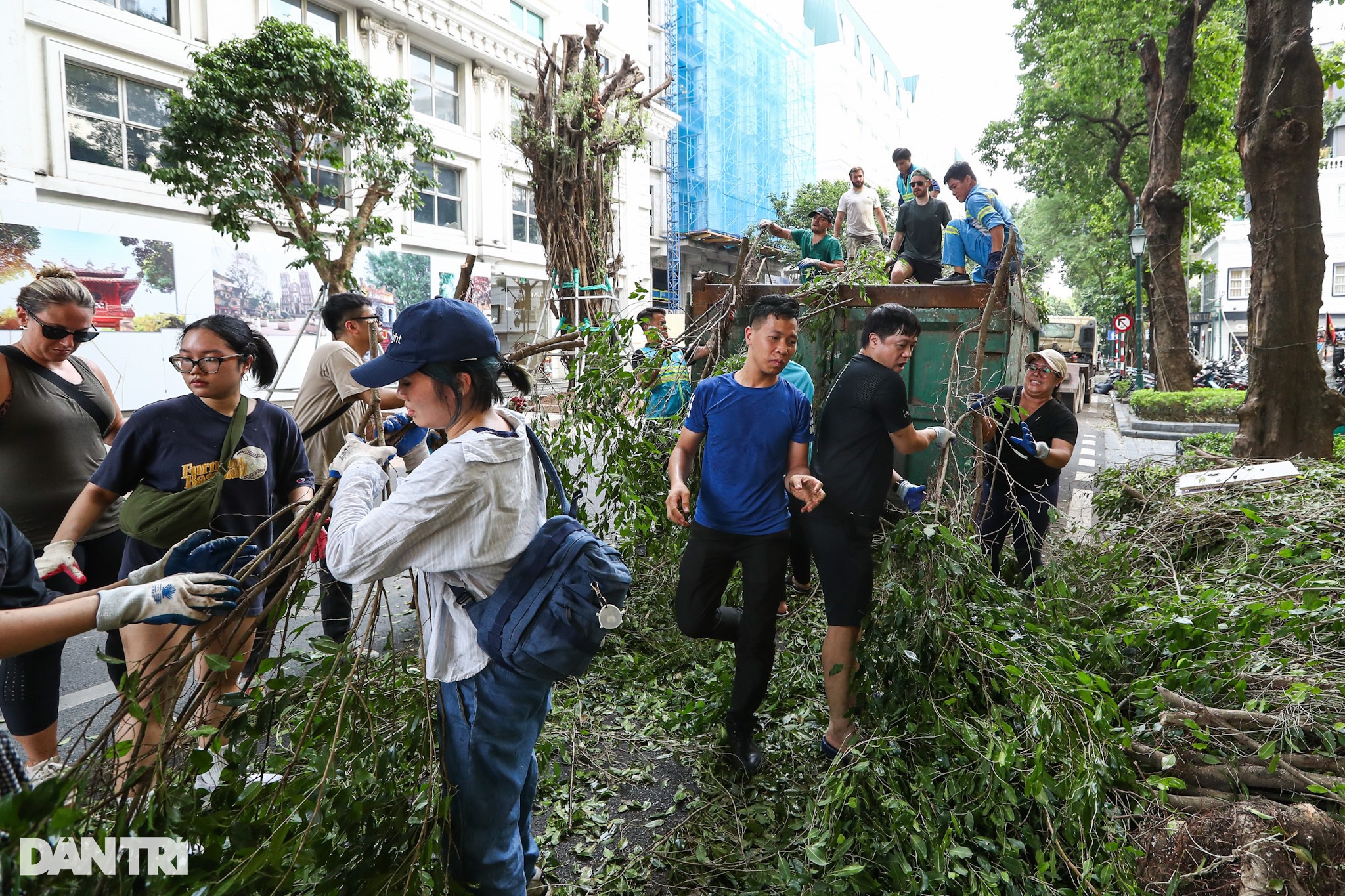 View - Người nước ngoài chung tay cùng Hà Nội dọn cây đổ sau bão Yagi | Báo Dân trí