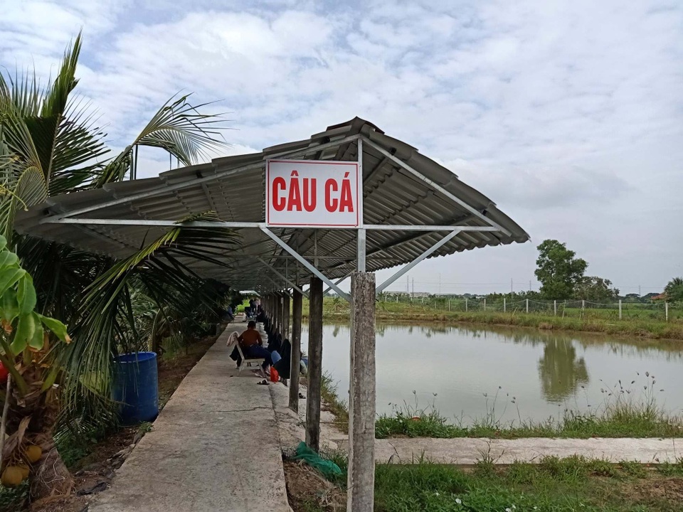 Chán thành thị, du khách tìm về miệt vườn ngắm cảnh, câu cá đầu năm mới - 3 Chán thành thị, du khách tìm về miệt vườn ngắm cảnh, câu cá đầu năm mới - 3