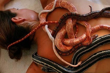 Mát xa bằng trăn