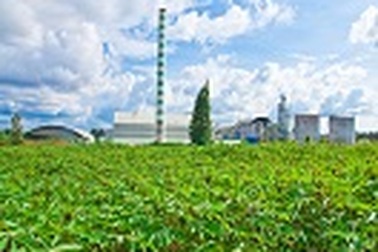 Sản xuất xăng sinh học E5: Hàng vạn nông dân được hưởng lợi