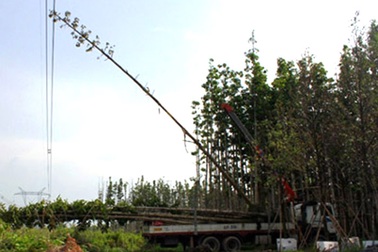 Tài xế gây mất điện 18 tỉnh thành bị đề nghị gần 6 năm tù