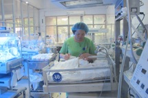 Mang thai hộ: Chờ quả ngọt!