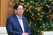 Thủ tướng giao Bộ Công an mở rộng điều tra vụ Việt Á