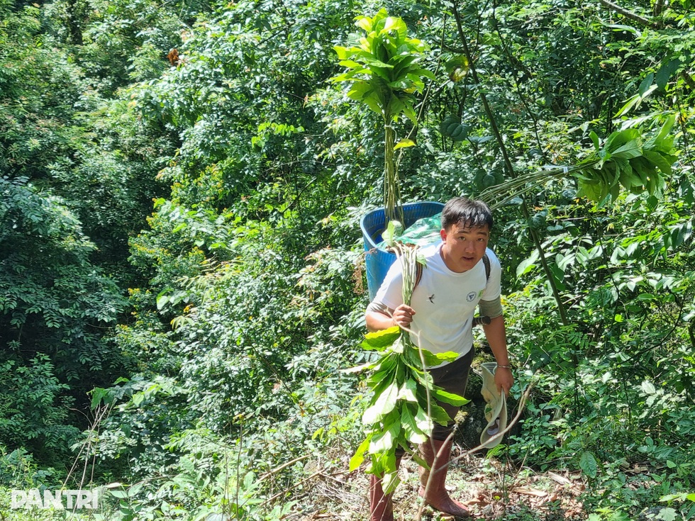 Người trẻ vượt non cao nắng cháy, vào rừng làm nhà cho vượn đen má trắng - 8 Người trẻ vượt non cao nắng cháy, vào rừng làm nhà cho vượn đen má trắng - 8