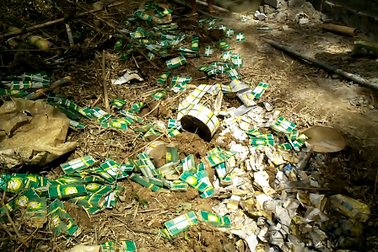 Vụ chôn thuốc trừ sâu: Tại sao chưa khởi tố vụ án?