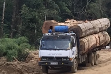 Bài 2: Xe chở gỗ Lào "bức tử" cung đường biên giới
