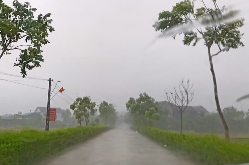 Mưa vàng bất ngờ xuất hiện mang niềm vui kép cho người dân - 1 Mưa vàng bất ngờ xuất hiện mang niềm vui kép cho người dân - 1
