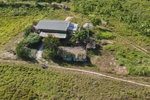 Thảm cảnh trang trại bò rộng gần 250 ha chỉ nuôi… mấy con bò!