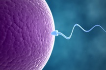 Cứ 6 người trưởng thành có 1 người bị vô sinh