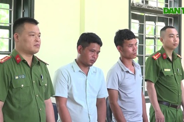 Bắt 2 nam thanh niên chặt phá và đốt rừng phòng hộ