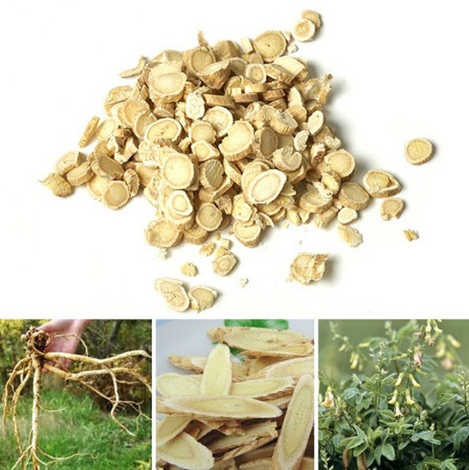 Các bài thuốc đông y giúp tăng cường sức đề kháng giữa đại dịch Covid-19 - 1 Các bài thuốc đông y giúp tăng cường sức đề kháng giữa đại dịch Covid-19 - 1