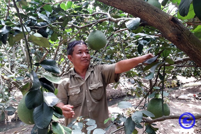 Thời gian qua, Bến Tre tập trung huy động nguồn lực và triển khai thực hiện các dự án chương trình mục tiêu quốc gia giảm nghèo, an sinh xã hội bền vững năm 2021. 