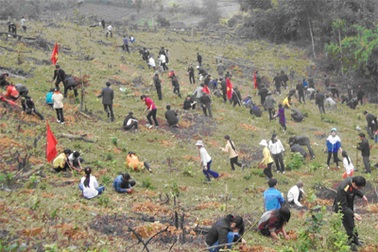Làm gì để người dân miền núi sống gắn bó với rừng? 