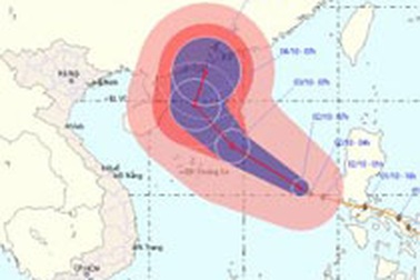 Chuẩn bị đối phó với “cuồng bão” số 8
