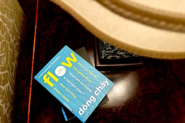 "Dòng chảy" kỳ 1: Đối mặt với mối đe dọa từ rối loạn tâm thần