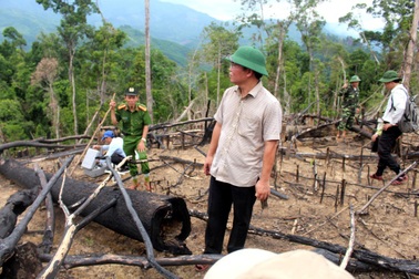 Hàng loạt cán bộ, đảng viên bị kỷ luật vì không giữ được rừng