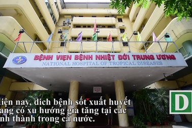 700 ca sốt xuất huyết đến khám mỗi ngày tại BV Bệnh nhiệt đới Trung ương