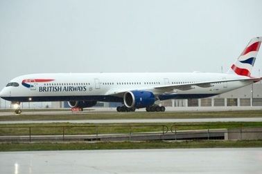 Đường băng ở sân bay phải đóng cửa để... vây bắt một con chó đi lạc