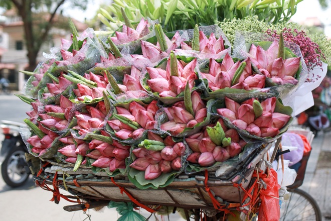 Hà Nội: Ngẩn ngơ với sắc sen đầu mùa xuống phố - 4 Hà Nội: Ngẩn ngơ với sắc sen đầu mùa xuống phố - 4