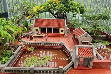 Chàng trai 9X "thu nhỏ" nhà cổ Bắc Bộ qua mô hình tiểu cảnh