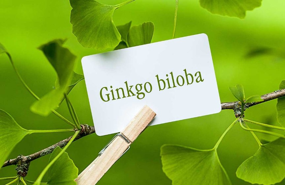 6 tháng luyện tập giúp người rối loạn nhận thức đảo ngược tình thế? - 3 6 tháng luyện tập giúp người rối loạn nhận thức đảo ngược tình thế? - 3
