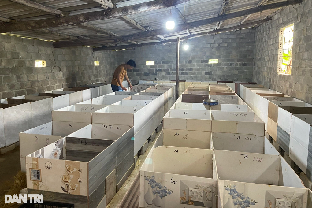 Bước ngoặt không ngờ của chàng trai mất việc vì Covid-19 - 3 Bước ngoặt không ngờ của chàng trai mất việc vì Covid-19 - 3
