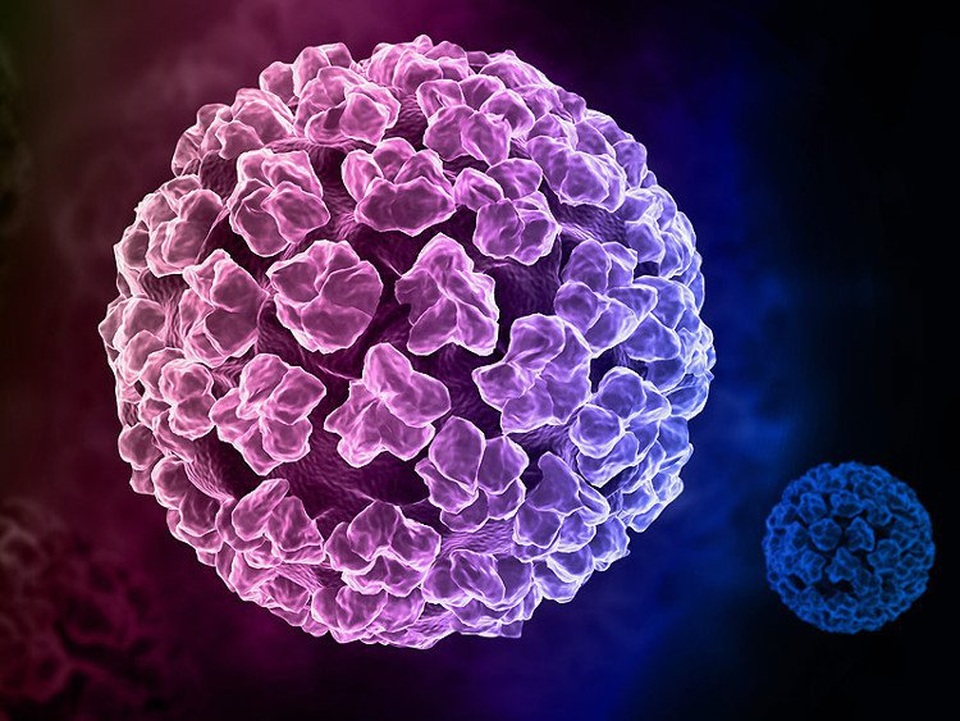 Giải mã loại virus gây nên căn bệnh ung thư nguy hiểm ở phụ nữ - 1 Giải mã loại virus gây nên căn bệnh ung thư nguy hiểm ở phụ nữ - 1