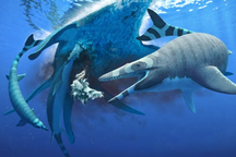 Tìm thấy hóa thạch quái vật biển kỳ lạ có hàm răng sắc như lưỡi cưa