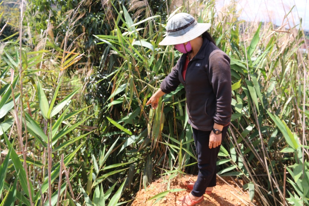 Gần 20 năm nhường đất cho thủy điện, hàng trăm hộ dân chưa thể tái định cư - 6 Gần 20 năm nhường đất cho thủy điện, hàng trăm hộ dân chưa thể tái định cư - 6