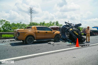 "Tại sao phải trồng cây trên dải phân cách cao tốc?"