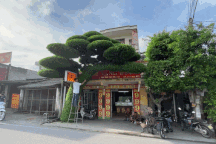 Cây sanh trước nhà chủ tiệm vàng ở Nam Định gây "sốt" vì hình dáng độc lạ