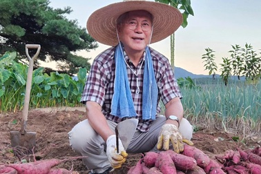 Cựu Tổng thống Hàn Quốc khoe cuộc sống làm nông khi về hưu