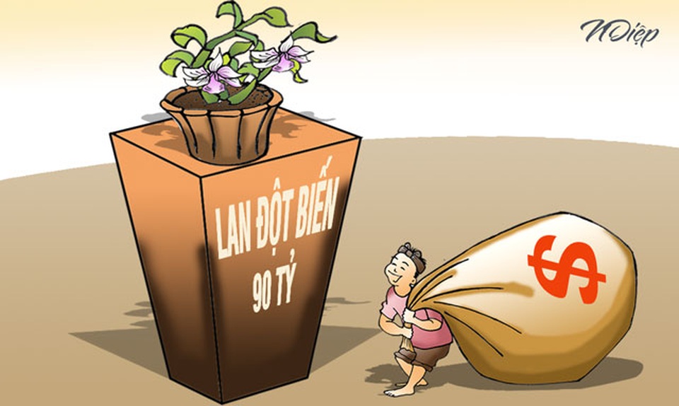 Trò đùa quá trớn của những người lắm tiền nhiều của? - 1 Trò đùa quá trớn của những người lắm tiền nhiều của? - 1