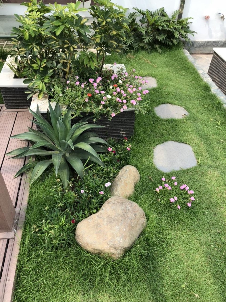 Chồng kỹ sư biến sân thượng thành vườn rau, trái sum suê tặng vợ - 2