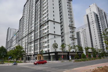 GS Đặng Hùng Võ nói gì về đề xuất "tăng thuế để hạn chế dân nhập cư TP HCM, Hà Nội"?