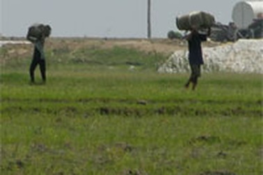 Đổ xô buôn lậu dịp giáp tết