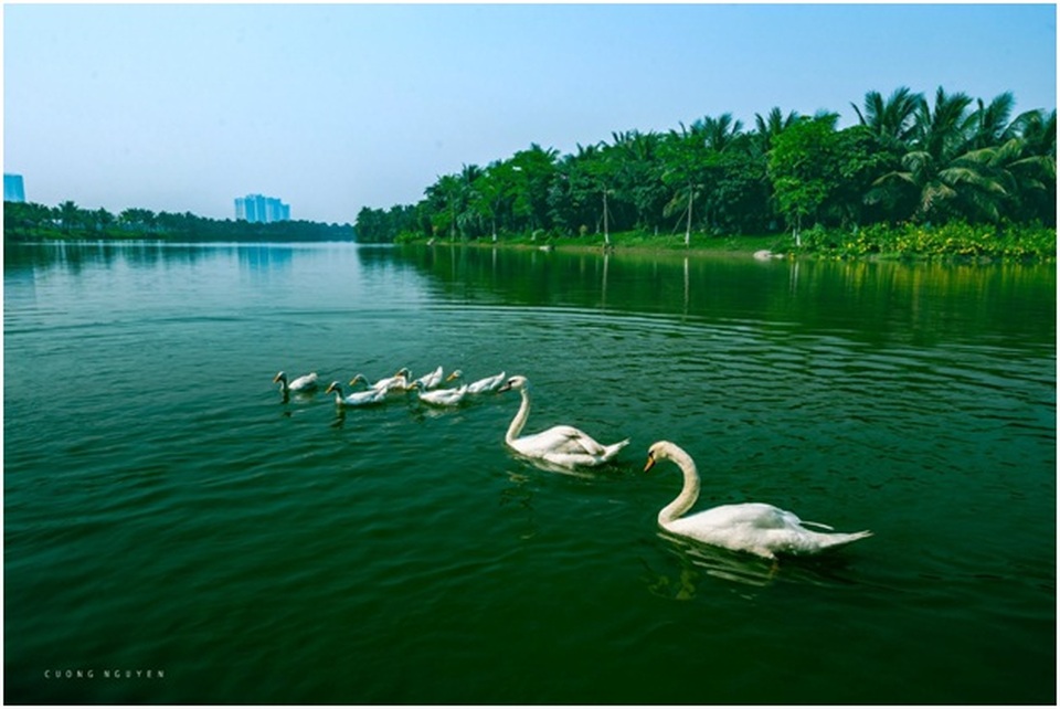 Vẻ đẹp “đến thổn thức” của Ecopark trong phút giao mùa - 9 Vẻ đẹp “đến thổn thức” của Ecopark trong phút giao mùa - 9