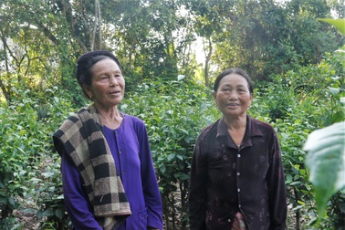 Hai gia đình hàng chục năm "cưu mang" chim trời