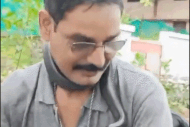 Chuyên gia bắt rắn bị hổ mang cắn chết, đoạn video trước đó gây rợn người