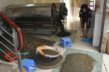 Phát hiện 12 tấn trà đang “tẩm” hóa chất