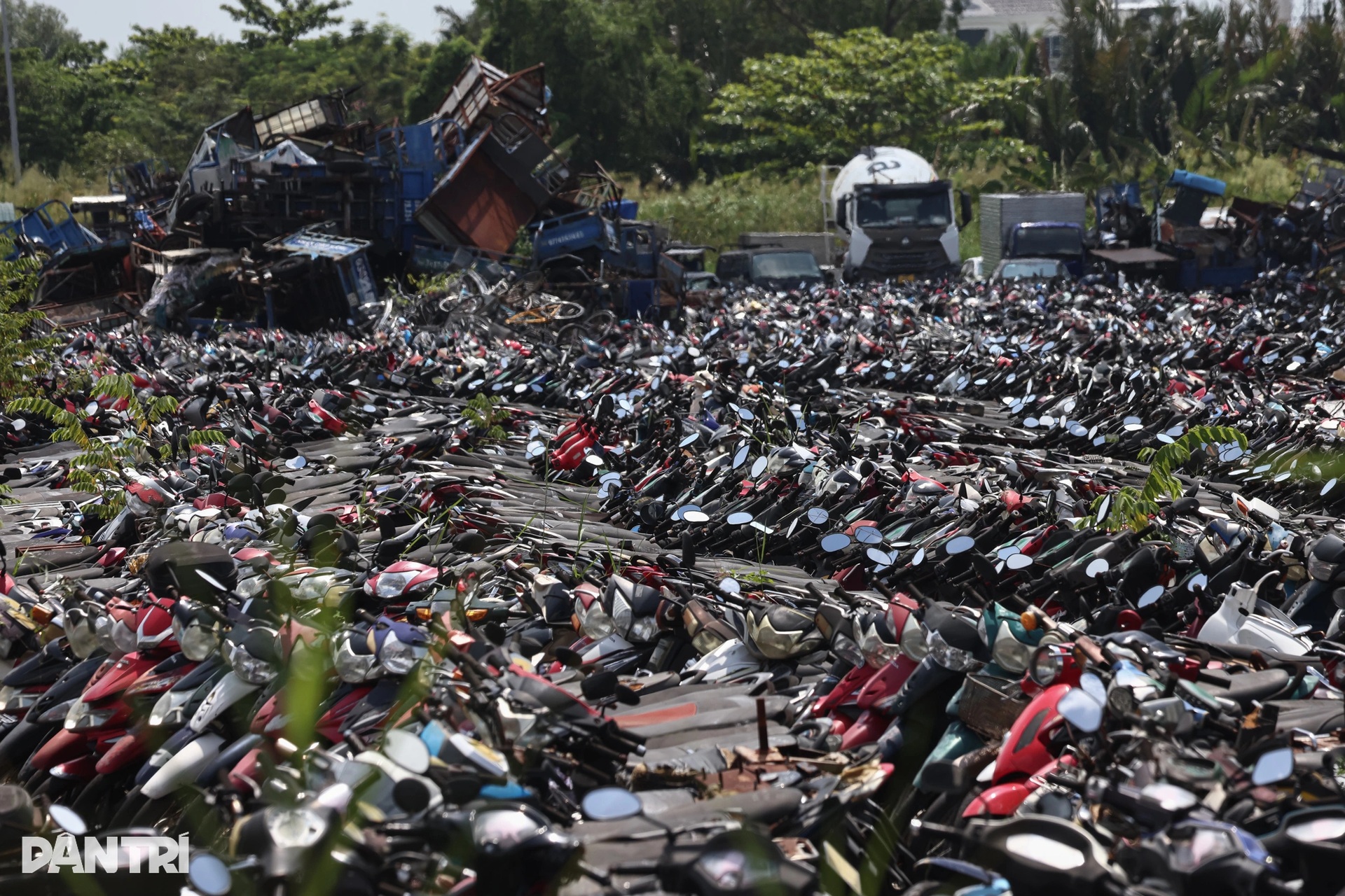 Hơn 1.600 phương tiện vi phạm ở TPHCM được đấu giá thành công - 1 Hơn 1.600 phương tiện vi phạm ở TPHCM được đấu giá thành công - 1