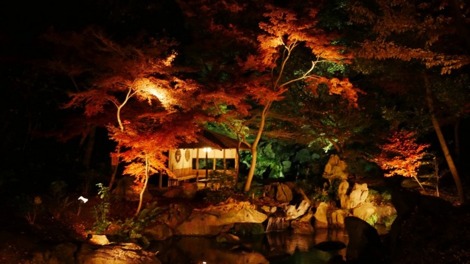 Những địa điểm ngắm lá đỏ mùa thu đẹp nhất Nhật Bản - 4