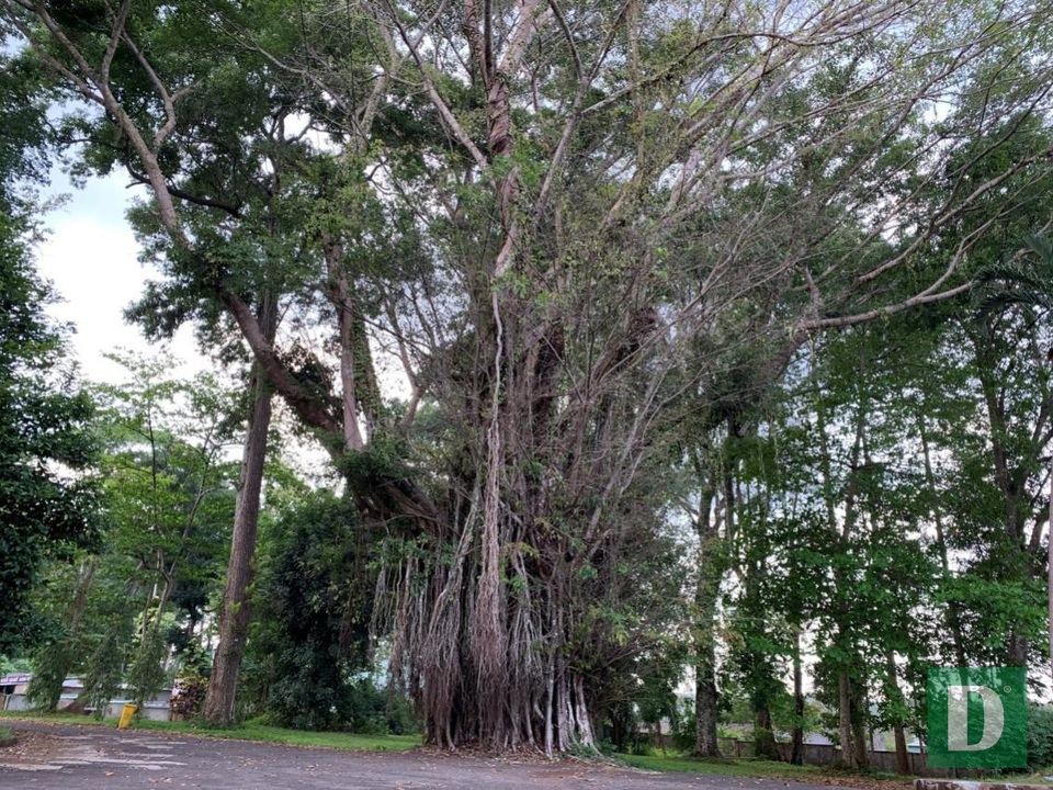 Đà Lạt miền Đông bị lãng quên - 6