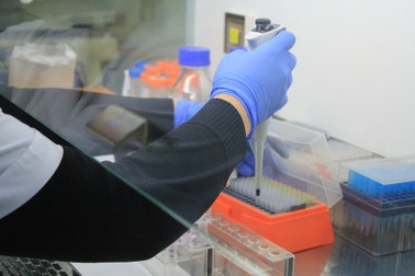 Chuyện ly kỳ đằng sau những tờ kết quả ADN (kỳ II)